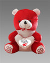 Love Quote Soft Teddy β Cute & Cuddly Gift for Someone Special